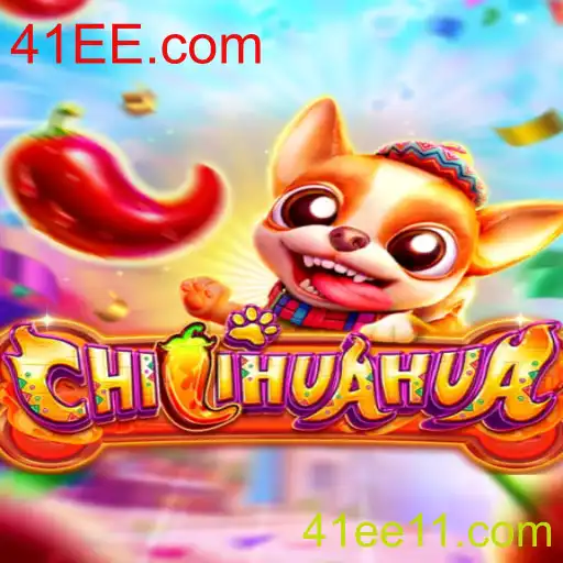 Descubra o Fascinante Mundo de CHILIHUAHUA